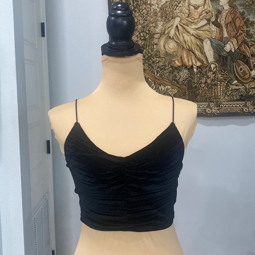 Wild fable V-neck spaghetti strap velvet crop top.